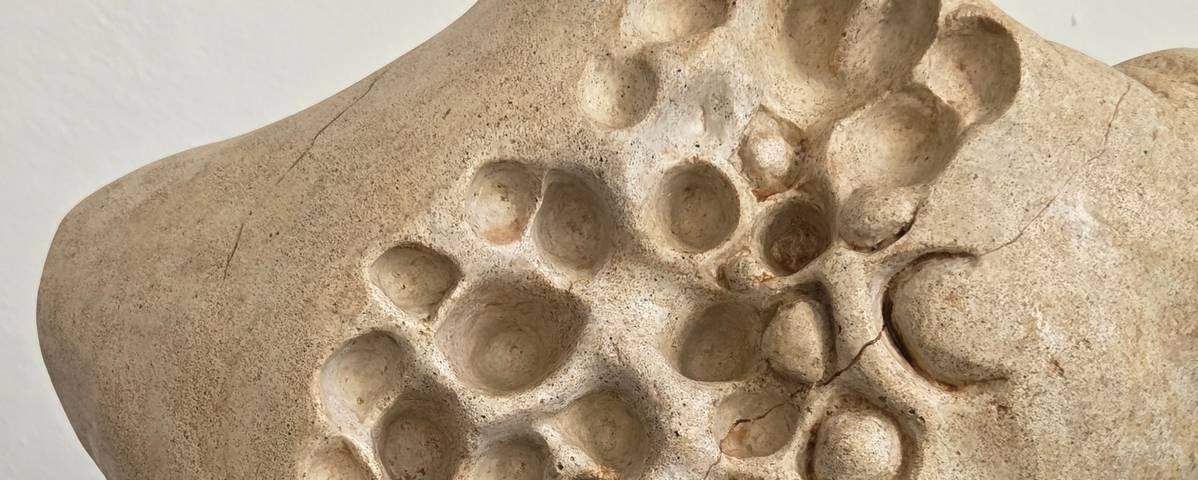 plecy fragment, struktura, rzezba, piaskowiec